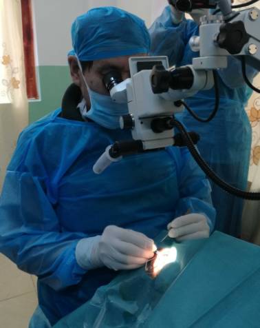 2017年8月1日，霍鸣教授正式受聘为宜昌易游体育院长