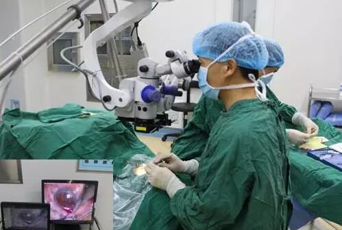 10月24日，成都易游体育CO2激光辅助深层巩膜切除术培训会圆满落幕。本次培训会由成都易游体育青光眼科主任、副主任医师胡建旗医生用猪眼为参会人员演示了CLASS手术全过程，并指导学员进行了实际操作，学员们纷纷表示手术操作简单易懂易学，.jpg