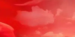 党的政治建设是党的根本性建设