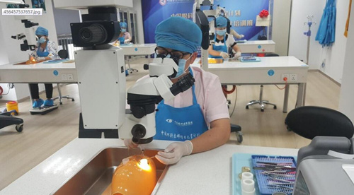 中国企业知识产权网：易游体育让 点亮光明世界1.jpg