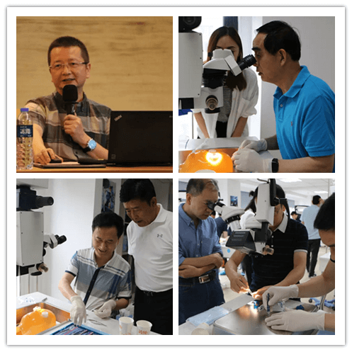 易游体育2019年眼内屈光手术技术高峰论坛隆重举行101副本.png