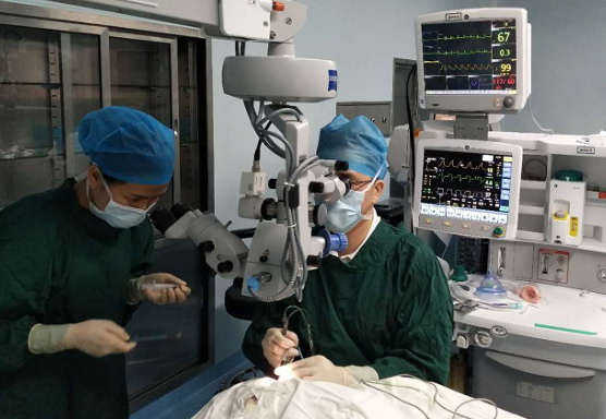 厦门眼科中心白内障专科毛祖红主任迎难而上：为痴呆老人做白内障手术1.png